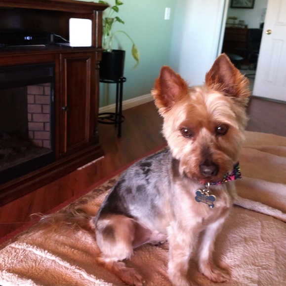 Meet your Posher, Jeffrey - Picture 1 of 1